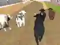 ਨਰਾਜ਼ ਬਲਦ ਰੇਸਿੰਗ ਨਰਾਜ਼ ਬਲਦ ਰੇਸਿੰਗ