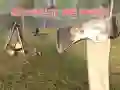 ਜੰਗਲ ਵਿੱਚ ਬਚੋ ਜੰਗਲ ਵਿੱਚ ਬਚੋ