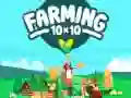 ਖੇਤੀ 10x10 ਖੇਤੀ 10x10
