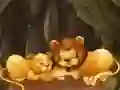 ਮਜ਼ੇਦਾਰ ਚਿੜੀਆਘਰ ਜਾਨਵਰ ਜਿਗਸਾ 