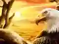 ਈਗਲ ਈਗਲ