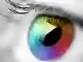ਰੰਗ ਅਤੇ ਡਿਜ਼ਾਈਨ ਰੰਗ ਅਤੇ ਡਿਜ਼ਾਈਨ