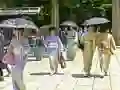 ਜਪਾਨ ਵਿੱਚ 100 ਤਿਤਲੀਆਂ ਜਪਾਨ ਵਿੱਚ 100 ਤਿਤਲੀਆਂ