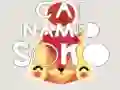 ਸੋਕੋ ਨਾਮ ਦੀ ਬਿੱਲੀ ਸੋਕੋ ਨਾਮ ਦੀ ਬਿੱਲੀ