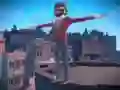 ਬੈਕਫਲਿਪ ਪਾਗਲ 