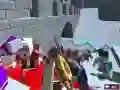 PGA3 ਸਰਵਾਈਵਲ PGA3 ਸਰਵਾਈਵਲ