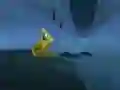 ਭਗੌੜਾ ਟਾਡ ਭਗੌੜਾ ਟਾਡ