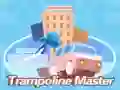 ਟ੍ਰੈਂਪੋਲਿਨ ਮਾਸਟਰ ਟ੍ਰੈਂਪੋਲਿਨ ਮਾਸਟਰ