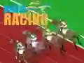 ਡਰਬੀ ਰੇਸਿੰਗ 