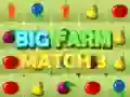 ਵੱਡੇ ਫਾਰਮ ਮੈਚ 3 ਵੱਡੇ ਫਾਰਮ ਮੈਚ 3