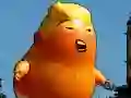ਟਰੰਪ ਫਲਾਇੰਗ ਐਡਵੈਂਚਰ ਟਰੰਪ ਫਲਾਇੰਗ ਐਡਵੈਂਚਰ
