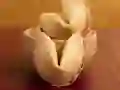 ਫਾਰਚੂਨ ਕੂਕੀਜ਼ ਫਾਰਚੂਨ ਕੂਕੀਜ਼