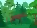 ਜੰਗਲੀ ਜਾਨਵਰਾਂ ਦਾ ਰੰਗ ਜੰਗਲੀ ਜਾਨਵਰਾਂ ਦਾ ਰੰਗ