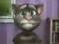 ਟਾਕਿੰਗ ਟੌਮ ਫਨੀ ਟਾਈਮ ਟਾਕਿੰਗ ਟੌਮ ਫਨੀ ਟਾਈਮ