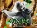 ਪਿਆਰਾ ਬੇਬੀ ਕੋਆਲਾ ਰਿੱਛ 
