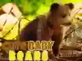 ਪਿਆਰੇ ਬੇਬੀ ਬੀਅਰਸ ਪਿਆਰੇ ਬੇਬੀ ਬੀਅਰਸ