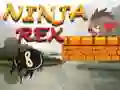 ਨਿਨਜਾ ਰੇਕਸ ਨਿਨਜਾ ਰੇਕਸ