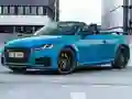 ਔਡੀ TTS ਰੋਡਸਟਰ ਸਲਾਈਡ 
