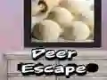 ਹਿਰਨ ਬਚਣਾ ਹਿਰਨ ਬਚਣਾ