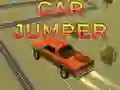 ਕਾਰ ਜੰਪਰ 