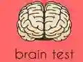 ਦਿਮਾਗ ਦੀ ਜਾਂਚ 