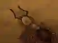 ਟੁਕੜੇ ਨੂੰ ਸੰਭਾਲੋ ਟੁਕੜੇ ਨੂੰ ਸੰਭਾਲੋ