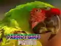 ਤੋਤਾ ਪੰਛੀ ਬੁਝਾਰਤ ਤੋਤਾ ਪੰਛੀ ਬੁਝਾਰਤ