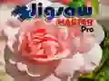 ਜਿਗਸਾ ਮਾਸਟਰ ਪ੍ਰੋ ਜਿਗਸਾ ਮਾਸਟਰ ਪ੍ਰੋ