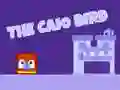 Caio ਪੰਛੀ Caio ਪੰਛੀ
