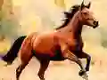 ਘੋੜਾ ਸਲਾਈਡ ਘੋੜਾ ਸਲਾਈਡ