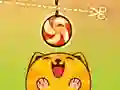 ਬਿੱਲੀ ਲਈ ਕੱਟੋ ਬਿੱਲੀ ਲਈ ਕੱਟੋ