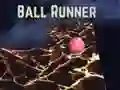 ਬਾਲ ਦੌੜਾਕ ਬਾਲ ਦੌੜਾਕ