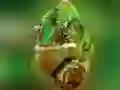 ਗਿਰਗਿਟ ਜਿਗਸਾ 
