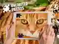 ਅਸੀਮਤ ਪਹੇਲੀਆਂ 