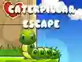 Caterpillar Escape Caterpillar Escape