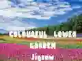 ਰੰਗੀਨ ਫਲਾਵਰ ਗਾਰਡਨ ਜਿਗਸਾ 
