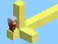 ਬਲਾਕੀ ਸ਼ਾਖਾਵਾਂ ਬਲਾਕੀ ਸ਼ਾਖਾਵਾਂ