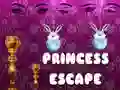 ਰਾਜਕੁਮਾਰੀ Escape ਰਾਜਕੁਮਾਰੀ Escape