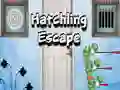 ਹੈਚਲਿੰਗ Escape ਹੈਚਲਿੰਗ Escape