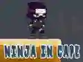 ਕੇਪ ਵਿੱਚ ਨਿੰਜਾ 