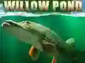 ਵਿਲੋ ਪੌਂਡ ਵਿਲੋ ਪੌਂਡ