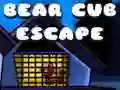 Bear Cub Escape Bear Cub Escape