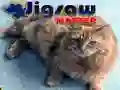 ਜਿਗਸਾ ਮਾਸਟਰ ਜਿਗਸਾ ਮਾਸਟਰ