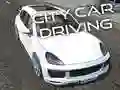 ਸਿਟੀ ਕਾਰ ਡਰਾਈਵਿੰਗ 
