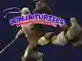 ਨਿਨਜਾ ਟਰਟਲਜ਼ ਮੈਮੋਰੀ ਕਾਰਡ ਮੈਚ 