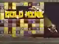 ਸੋਨੇ ਦੀ ਖਾਣ  ਸੋਨੇ ਦੀ ਖਾਣ