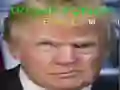 ਟਰੰਪ ਦਾ ਮਜ਼ਾਕੀਆ ਚਿਹਰਾ 