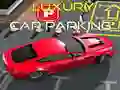 ਲਗਜ਼ਰੀ ਕਾਰ ਪਾਰਕਿੰਗ 