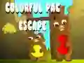 ਰੰਗੀਨ Pac Escape ਰੰਗੀਨ Pac Escape