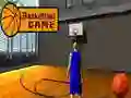 ਬਾਸਕਟਬਾਲ ਖੇਡ 